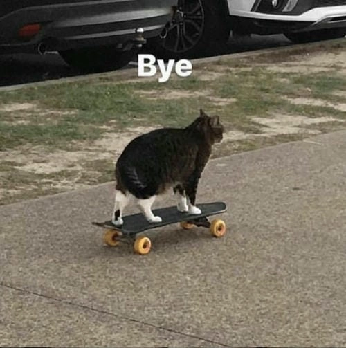 ảnh meme tạm biệt buồn bã 