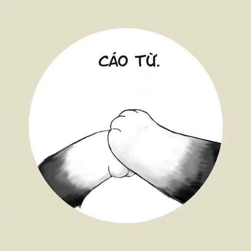meme tạm biệt cute hài hước 