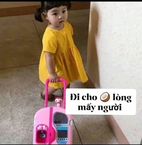 meme tạm biệt hài lặng lẽ 