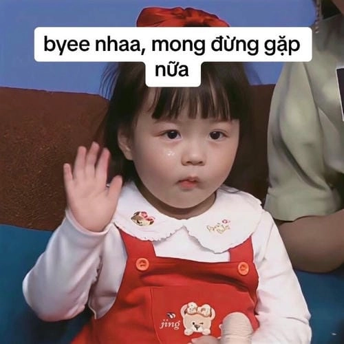 ảnh meme tạm biệt xúc động 