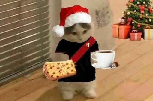 99+ ảnh mèo Giáng Sinh meme khiến bạn cười ngất trong 3 giây