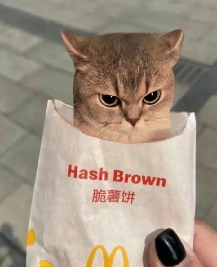 vô tri meme mèo khóc cute ấn tượng 