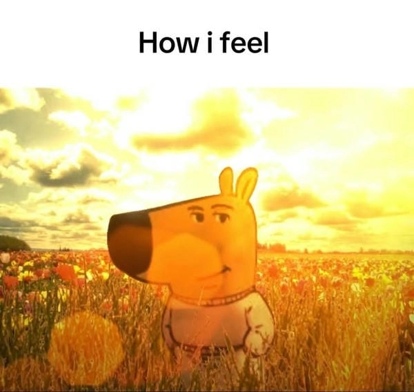 chill guy meme phong cách đơn giản 