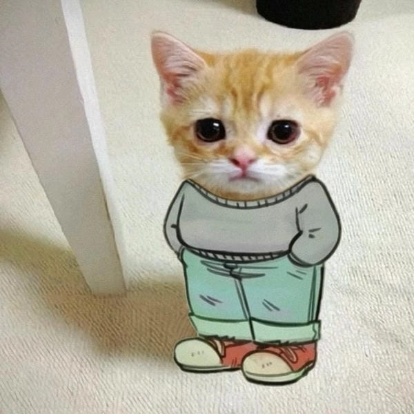 chill guy meme mặt tỉnh bơ 