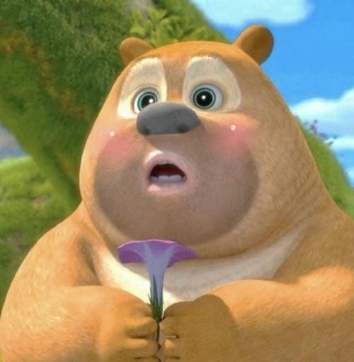 Gấu Boonie meme dễ thương 