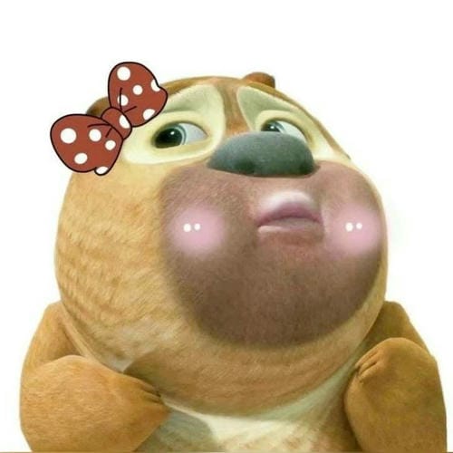 Meme gấu Boonie cười sảng 