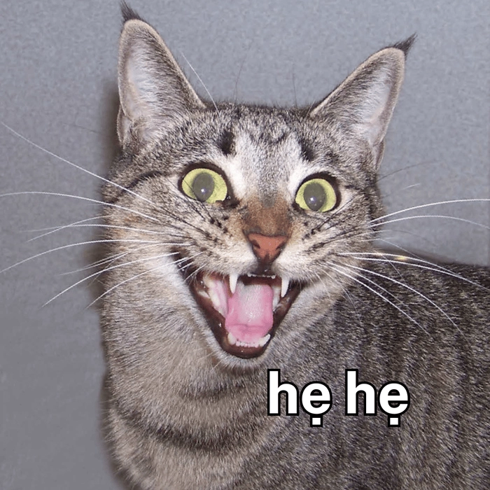 Meme lầy hê hê hê cười bò