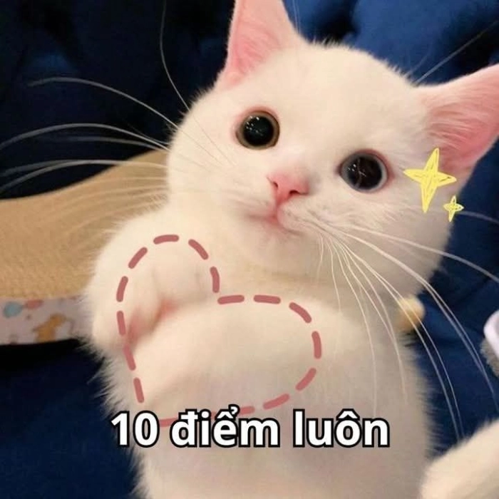 Ảnh chế meme 10 điểm bá đạo 