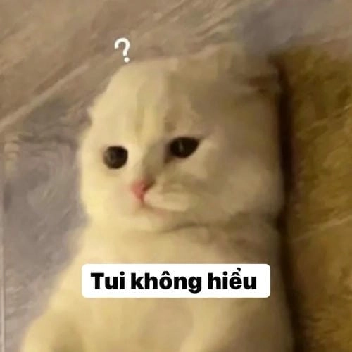 ủa ai biết gì đâu meme vui nhộn 