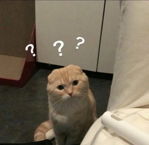 meme ai biết gì đâu dễ đồng cảm 