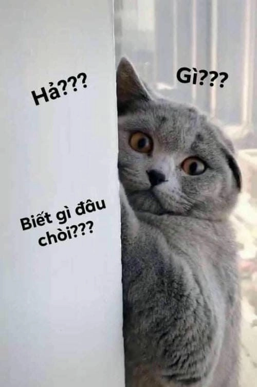 ai biết gì đâu meme chất chơi 