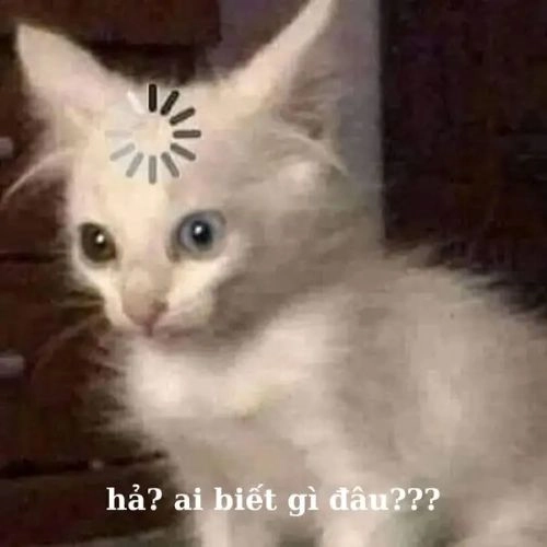 hả gì ai biết đâu meme mặt ngơ ngác 
