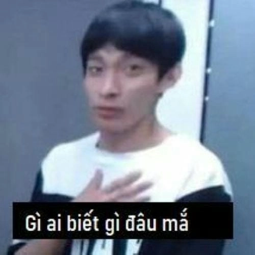 ai mà biết được meme ảnh vui 