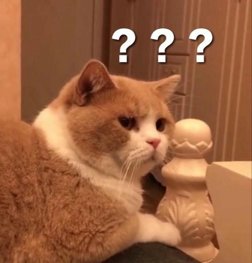 biết gì đâu meme hình ảnh chế 