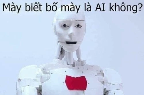 ai biết gì đâu meme lầy lội 
