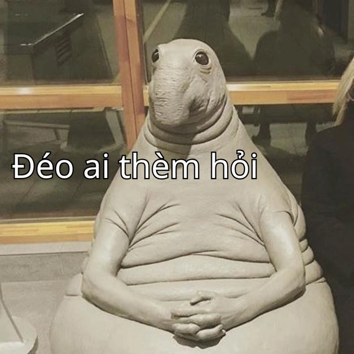 meme ai hỏi ảnh chế 