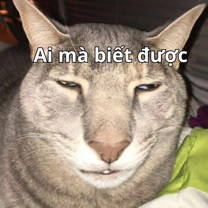 meme ai mà biết được ngắn gọn 