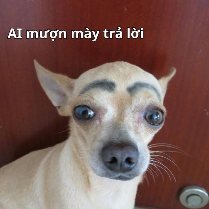 meme ai mà biết được trending 