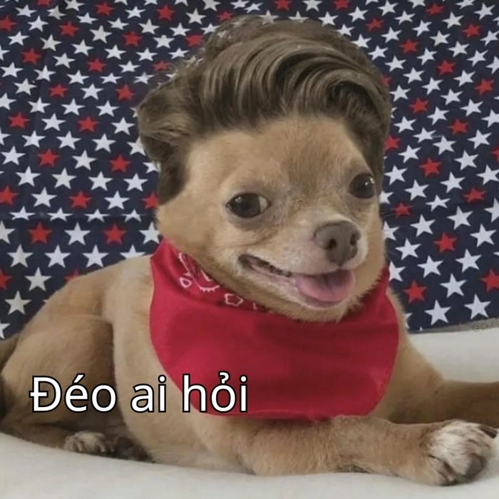 meme ai mà biết được gây cười 