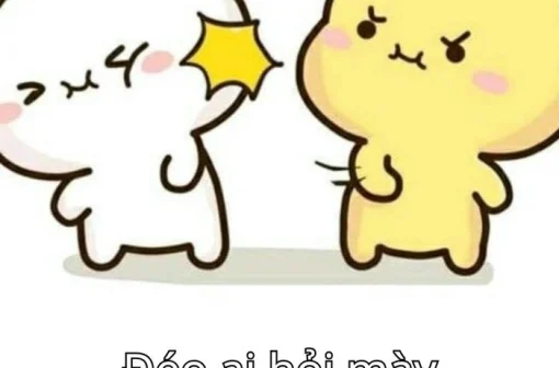 Top 159+ ảnh meme ai hỏi đang được dùng rầm rộ, cực chất