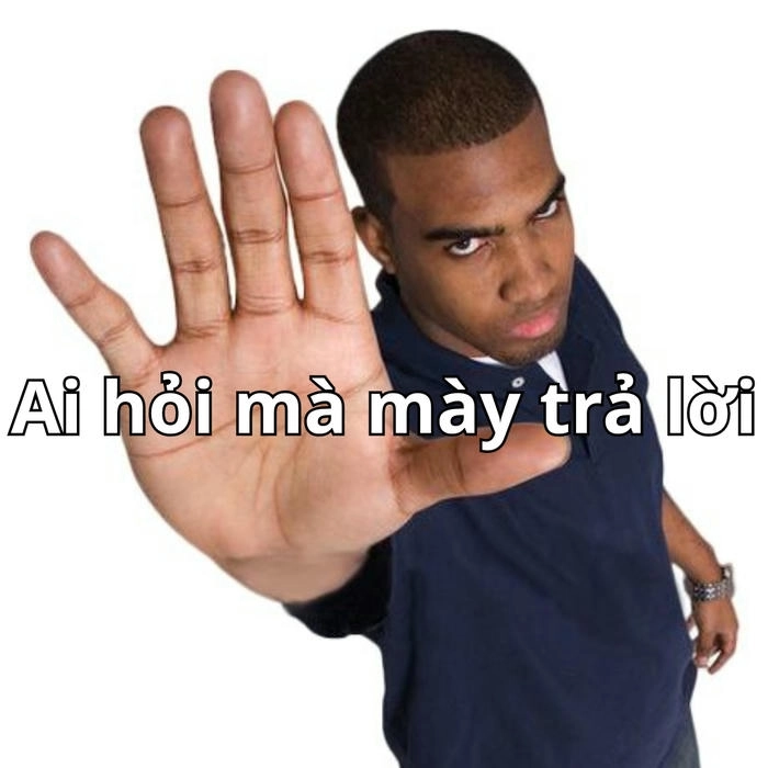 ai hỏi mà mày trả lời meme siêu gắt 