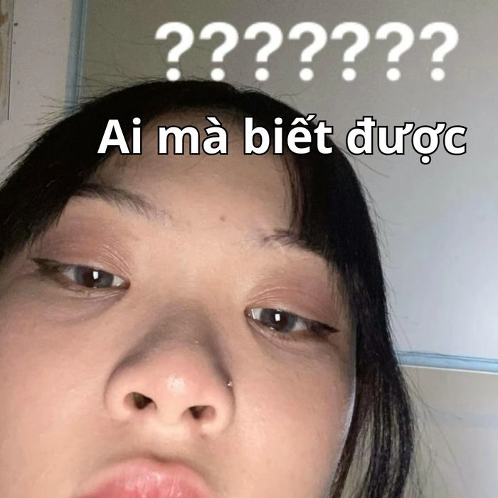 ai hỏi mà mày trả lời meme troll vui 