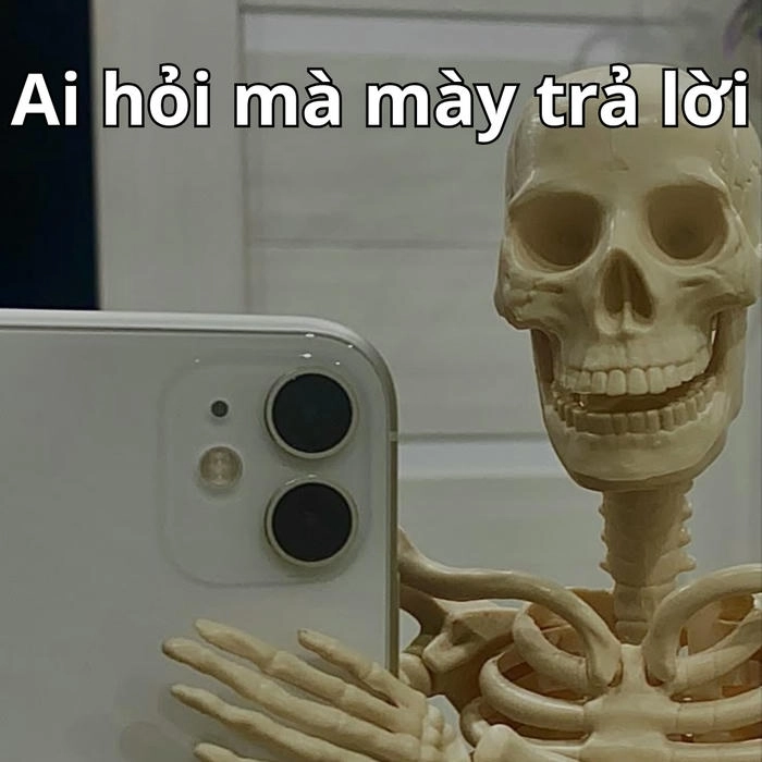 ai hỏi mà mày trả lời meme châm biếm 