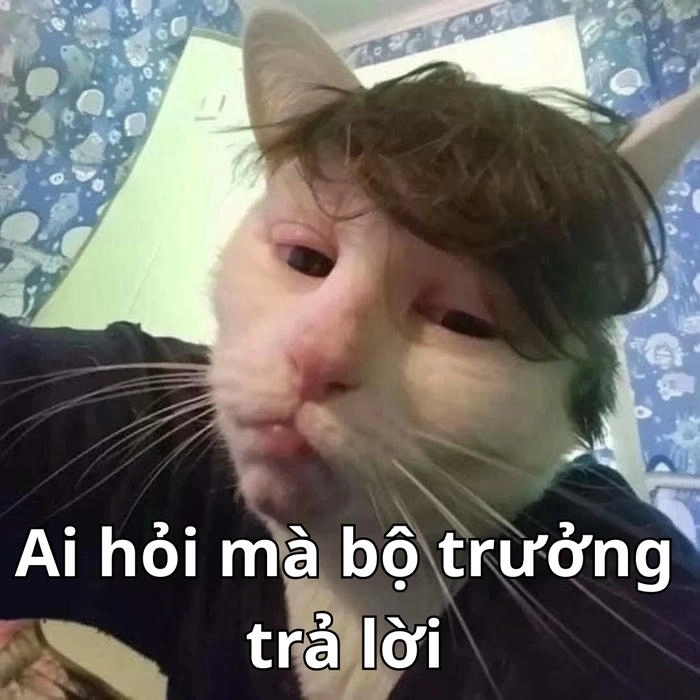 ai hỏi mà mày trả lời meme đời thường 