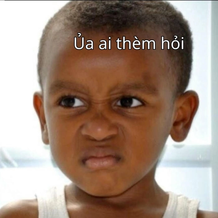 meme ai hỏi mạng xã hội 