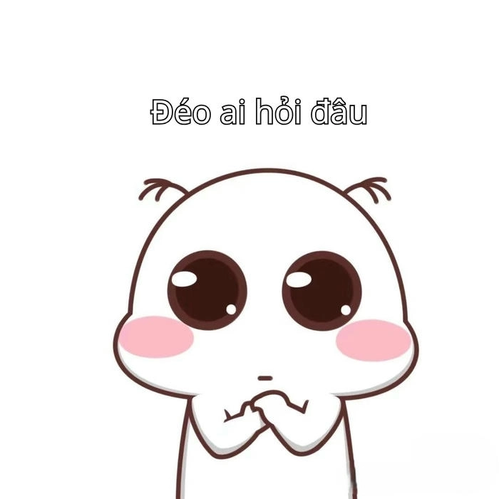 meme ai hỏi mới nhất 