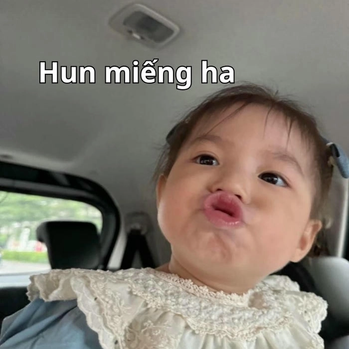 meme pam ok ngắn gọn 