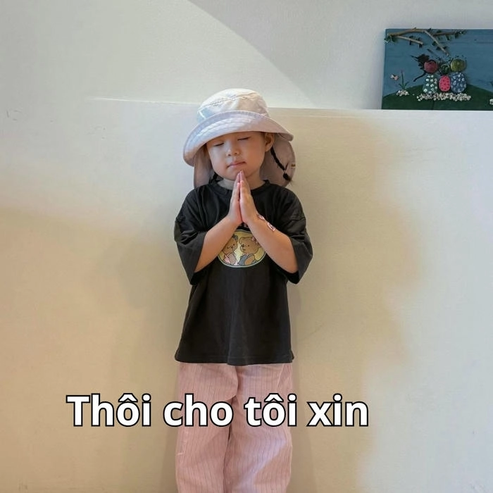 ảnh meme pam yêu ơi 