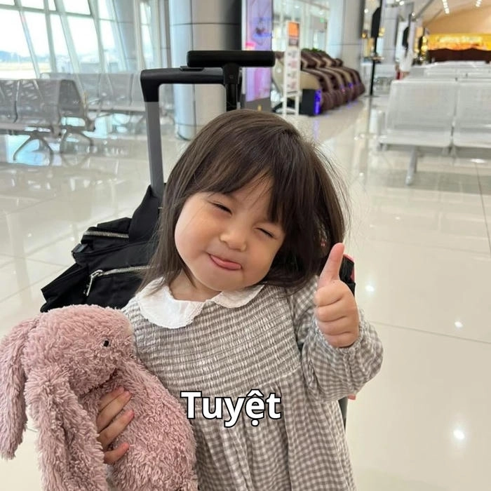 meme pam troll vui nhộn 