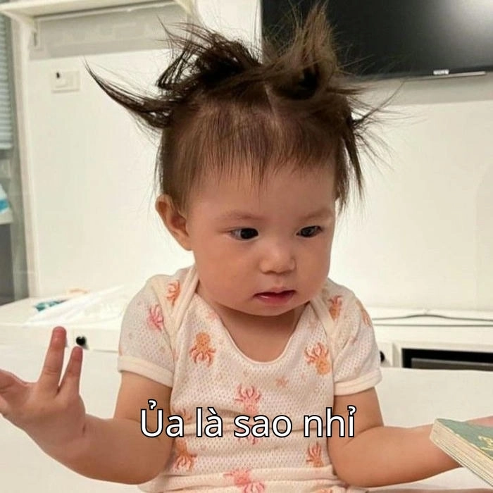 meme pamiuoi lạ mắt 