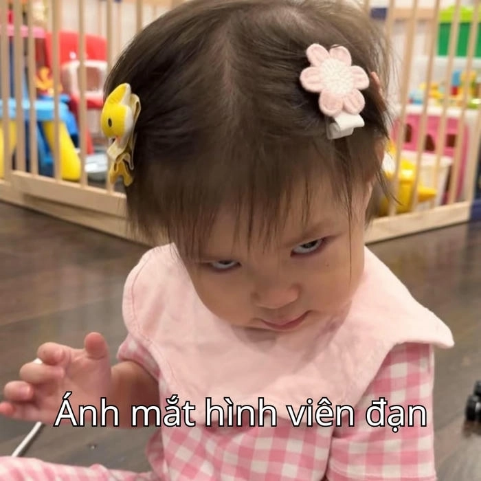 meme pam dễ thương trend 