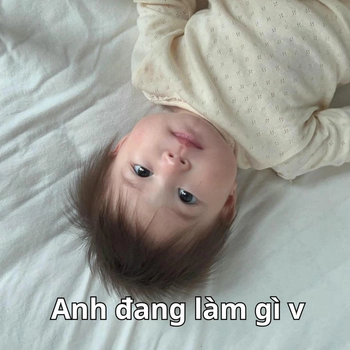 meme bé gái pam nổi tiếng 
