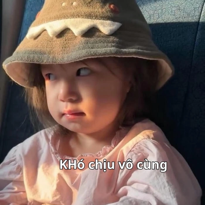 meme pam chất lượng cao 