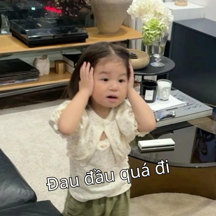 meme pam đang hot 