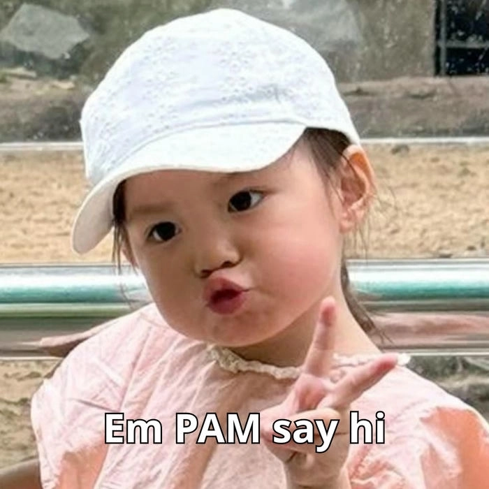 ảnh meme pam hài hước 