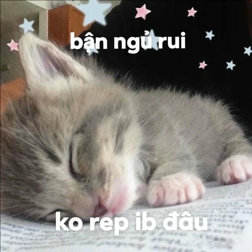 Ảnh chế buồn ngủ lười 