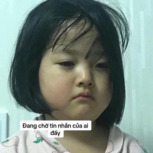 Buồn ngủ meme siêu dễ thương 