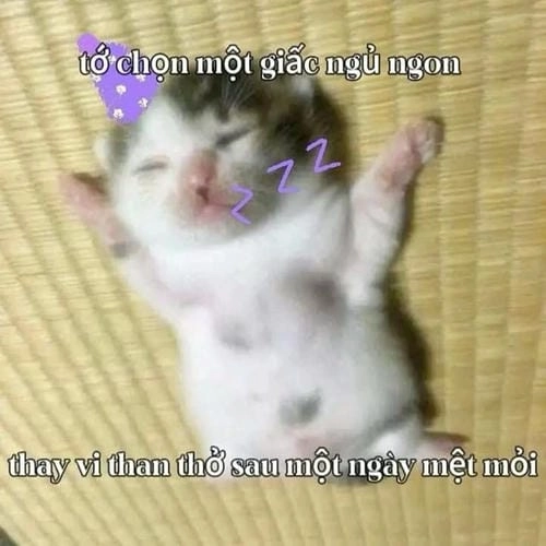 Hình chế buồn ngủ vui 