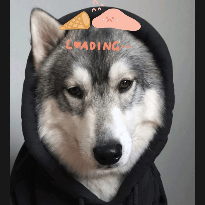 hình chó ngáo đang loading 