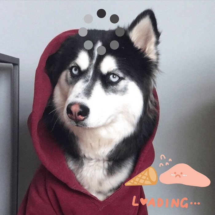 ảnh chó meme loading siêu hài 