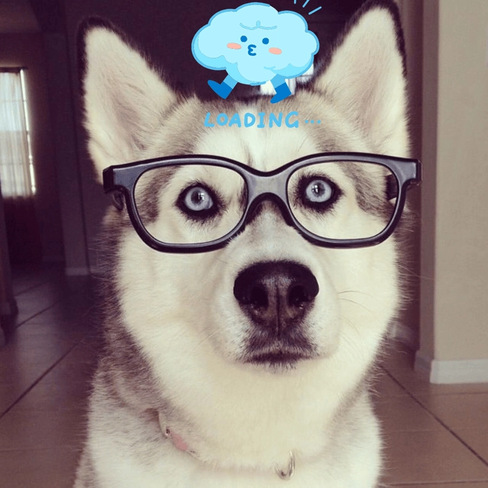 meme loading chó cute dễ thương 
