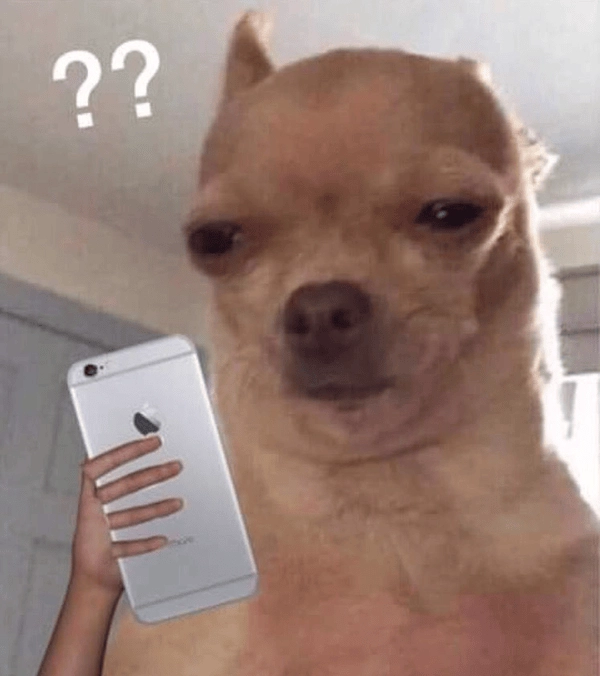 meme chó mặt người chế hài 