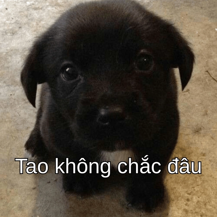 meme con chó nghi ngờ bản chất nghi ngờ 