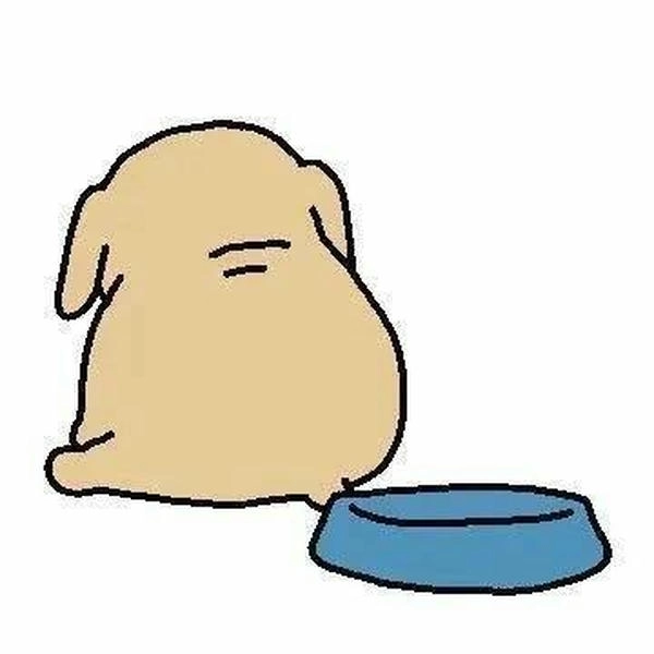 Meme chó rách biểu cảm