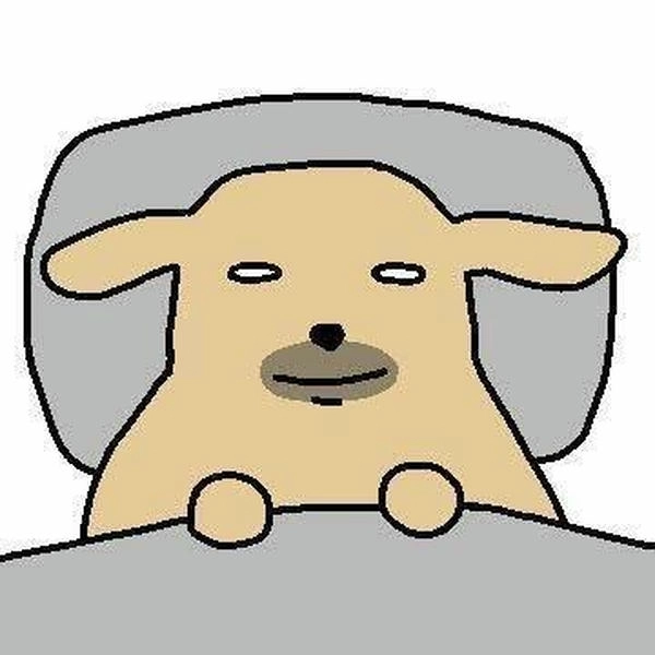 Meme chó rách dễ thương