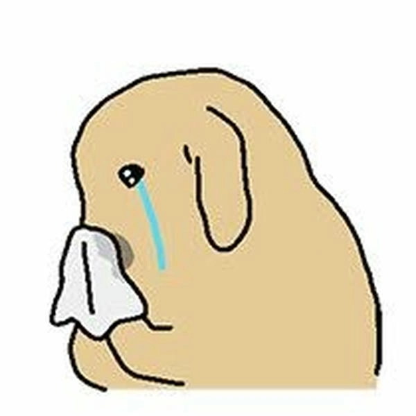 Hình meme chó rách ngầu